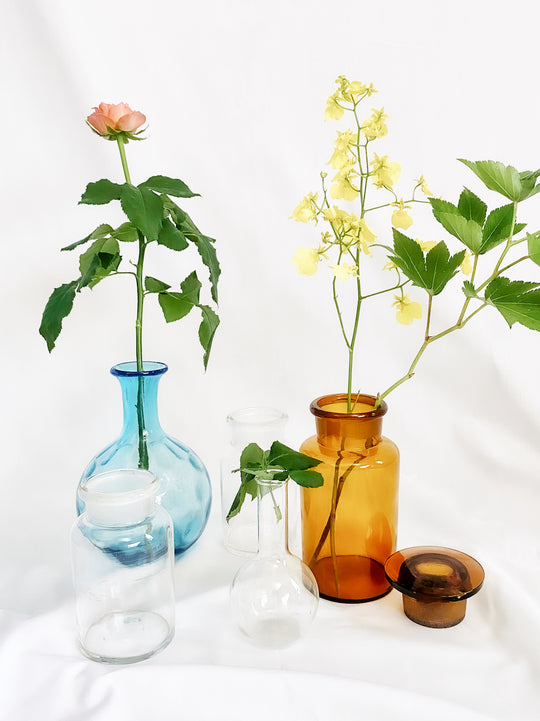Vintage Flower Vase Collection　〜Mo. Pollinator  Project〜